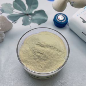 High-Survival Leuconostoc Mesenteroides HLM8 Active White Probiotic Powder High-Activity Raw Material for Probiotics