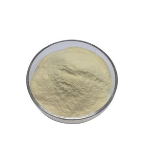 Leuconostoc Mesenteroides HLM8 Gut-Colonizing Probiotic Raw Material White Powder
