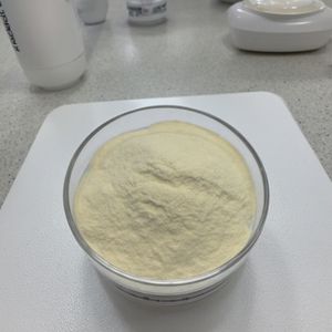 High Potency Lactobacillus Rhamnosus CCFM1119 Probiotics Powder Raw Material for Health Supplements