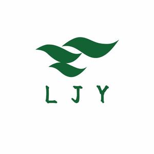 Company icon