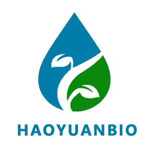 Company icon