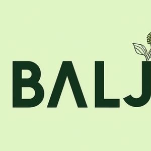Company icon