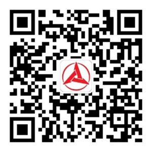 Company icon