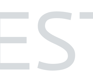 Company icon