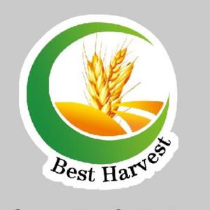 Company icon