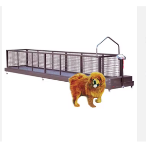 Veteerrinary Exercise Equipment Hot Selling Animal Dog Treaddmmill Pett Training Running Machine
