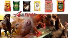 Pet Food for Small and Large Animals