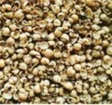 Soy Husks For Animal Feed