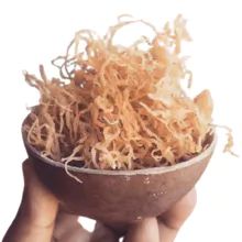 SEA MOSS Irish Moss Eucheuma Cottonii FOR GEL FROM VIET NAM