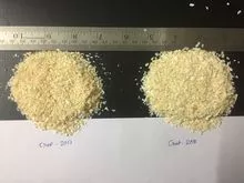 Food Ingrdient,Dehydrated Onion & Garlic