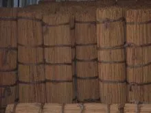 Ceylon Cinnamon - Ceylon Canela