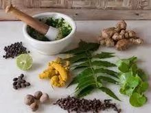 All Kind Of Herbal Extract and Herbal Seed and Bark