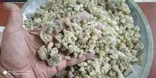 Manufacturer Of Indian Herbs,Spicses,Natural Gums