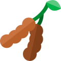 Tamarind Powder