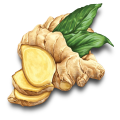 Ginger Powder