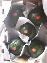 Avocados