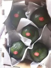 Avocados
