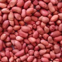 Raw red skin peanuts