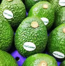 Hass Avocado