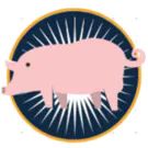 Company icon