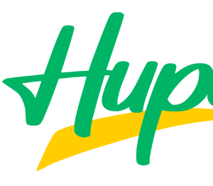 Company icon