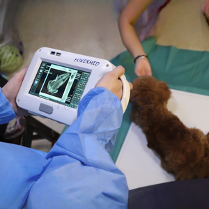 ICU Medical Veterinary Handheld X Ray Machine Animals DR System Price Dog Cat Pet Portable Digital Xray Machine