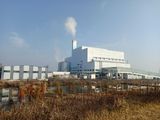 100MW - 1200MW Biomass Power Plant