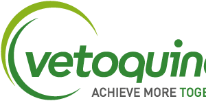 Company icon