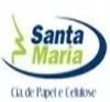 Company icon