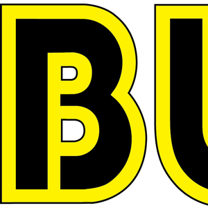 Company icon