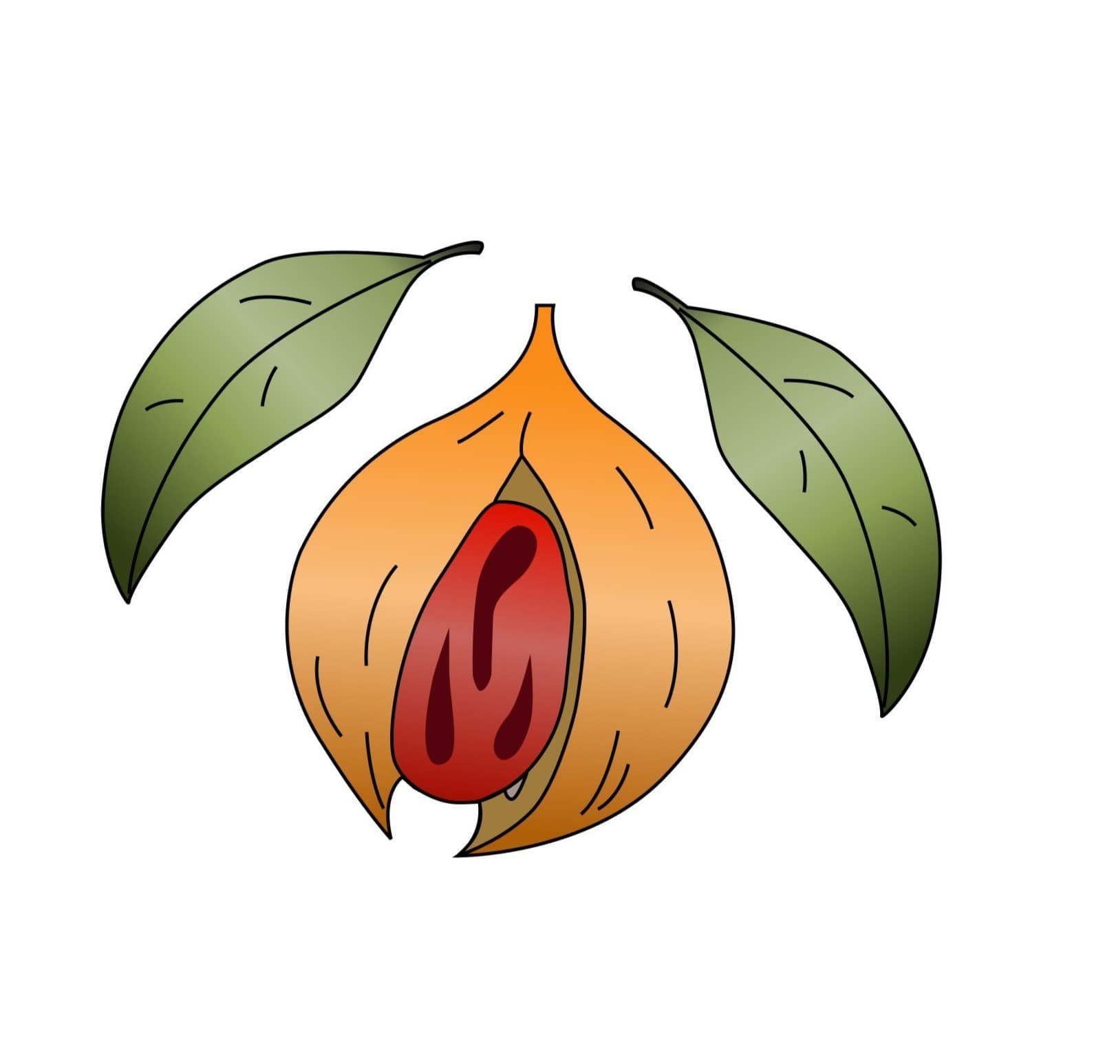 CV. Bumi Maju Sejahtera logo