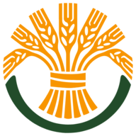Company icon