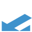 Company icon