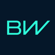 BorgWarner Brasil Ltda logo