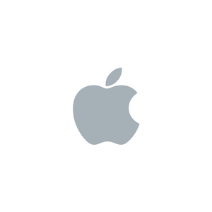 Company icon