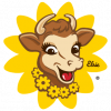 Company icon