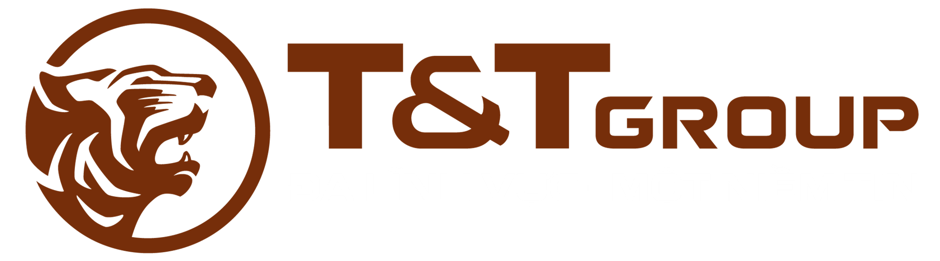 T & T Company Limited logo