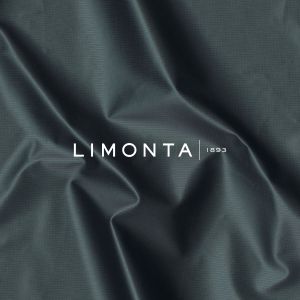 Company icon