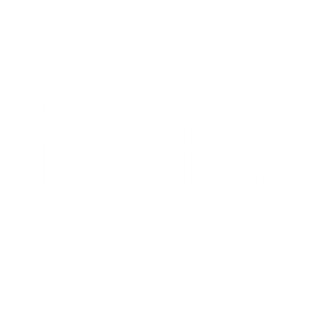 Company icon