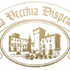 Company icon