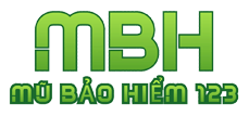 Do Minh Trading And Production Company Limited logo