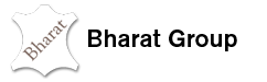 Bharat Expo International logo