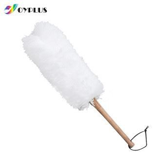 Cleaning Duster