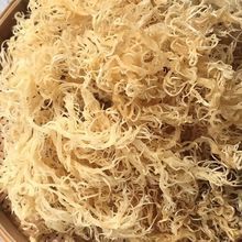Organics gold sea moss no salt, no impurity