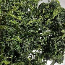 super green seaweed / sea lettuce for human food