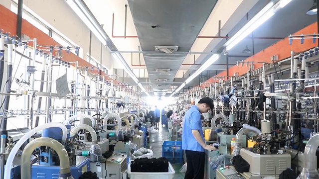 Zhejiang New Vision Imp & Exp Co., Ltd. Socks