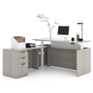 L Shape Executive Desk with Dual Motor Electric Adjustable Lifting Standing up Ergonomic Office Desk Table