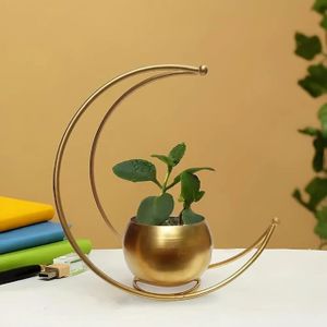 Handicrafts Half Moon Design Flower Pot Stand Gold Metal Steel Vase Home Office Side Table Decoration-Pack 1 (24x24)