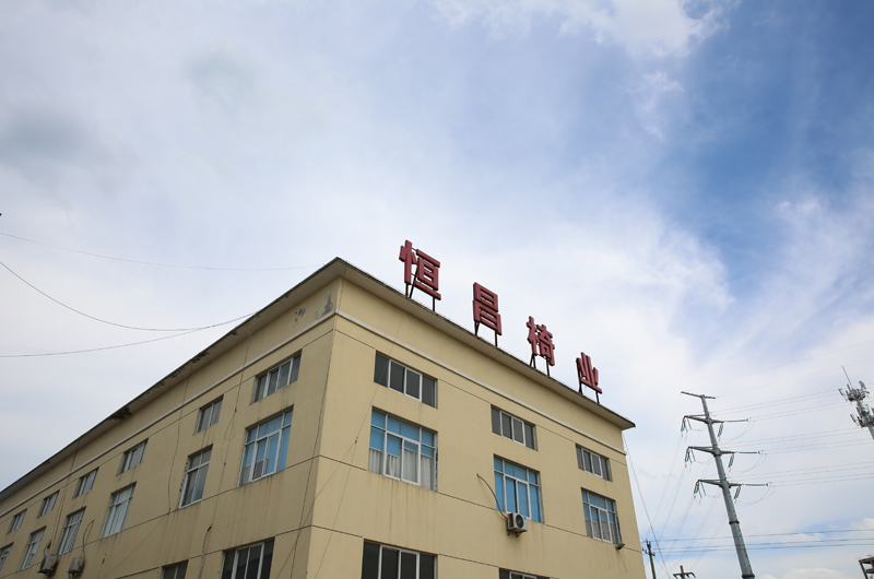 Zhejiang Anji Hengchang Chair Industry Co., Ltd. Office Chair