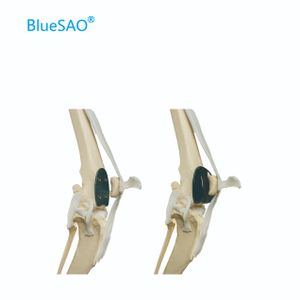 Patellar Groove Replacement Kit Implant Prosthesis and Trial Prothesis Size 9 Veterinary Orthopedic Instrument